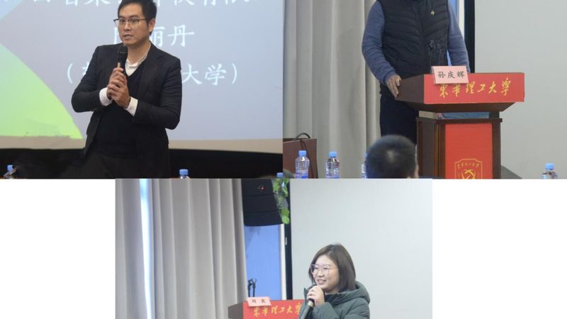 林德叉车与丰田叉车：解析二者的差异与适用场景